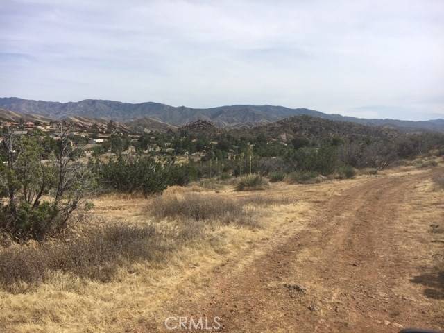 Agua Dulce, CA 91350,0 Vac/Darling Rd/Vic Tyndall RD