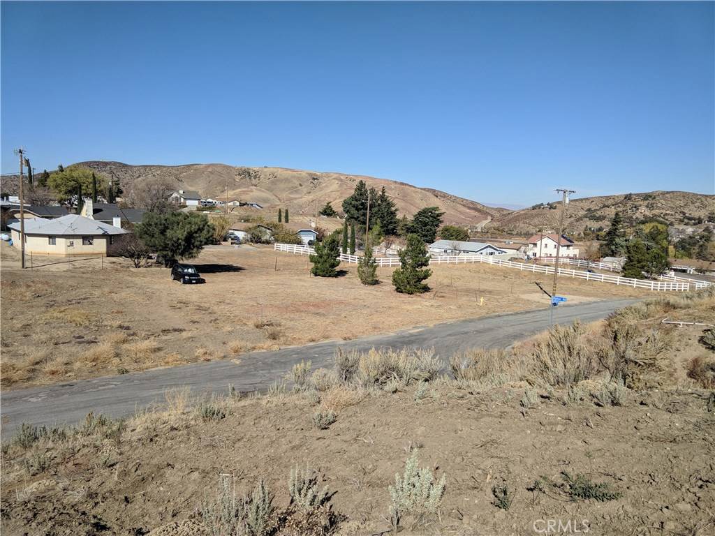 Lake Hughes, CA 93532,0 Vac/Lowhill Dr/Vic Ripton RD