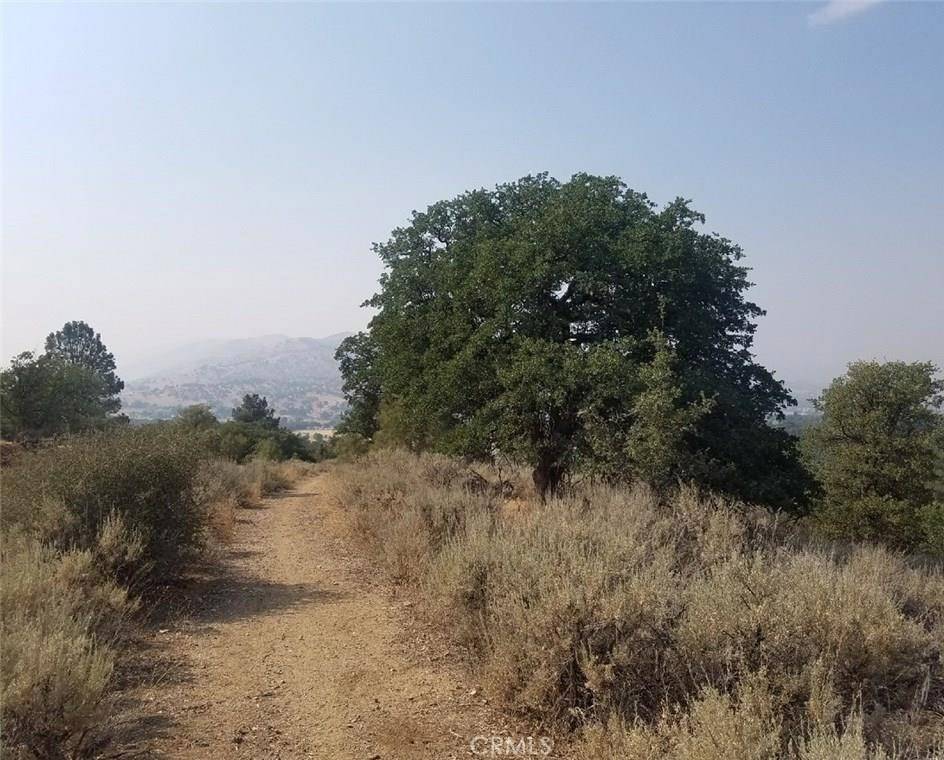 Tehachapi, CA 93561,0 Backes LN