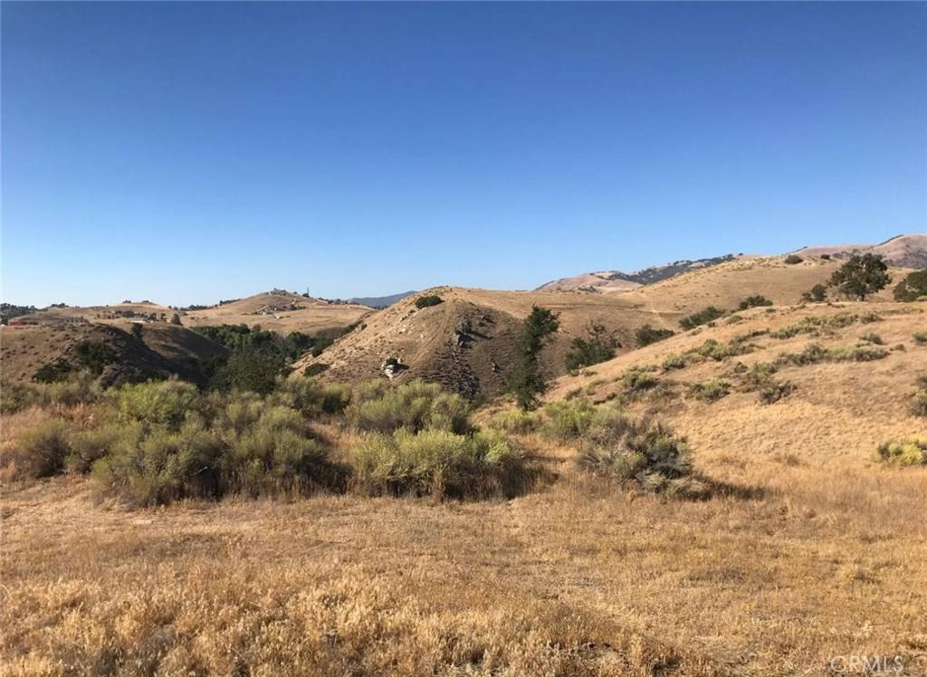 Golden Hills, CA 93561,0 Cedar Glen Lot #245