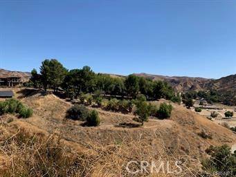 Saugus, CA 91390,23 Bouquet Canyon