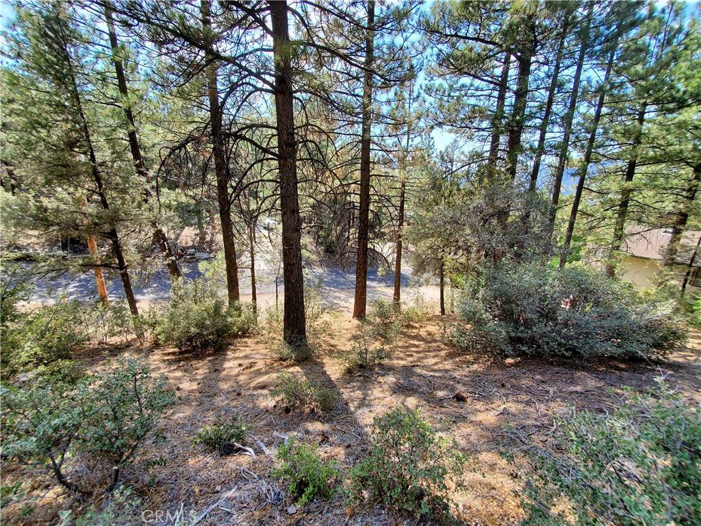 Pine Mountain Club, CA 93222,1508 Dogwood CT