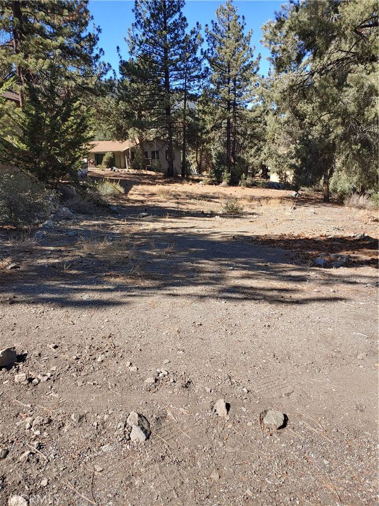 Pine Mountain Club, CA 93225,1813 Woodland DR