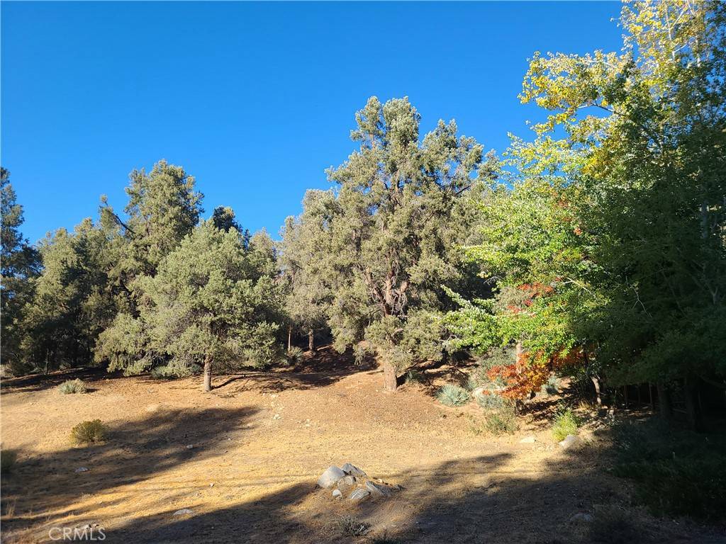 Pine Mountain Club, CA 93222,2204 Woodland DR