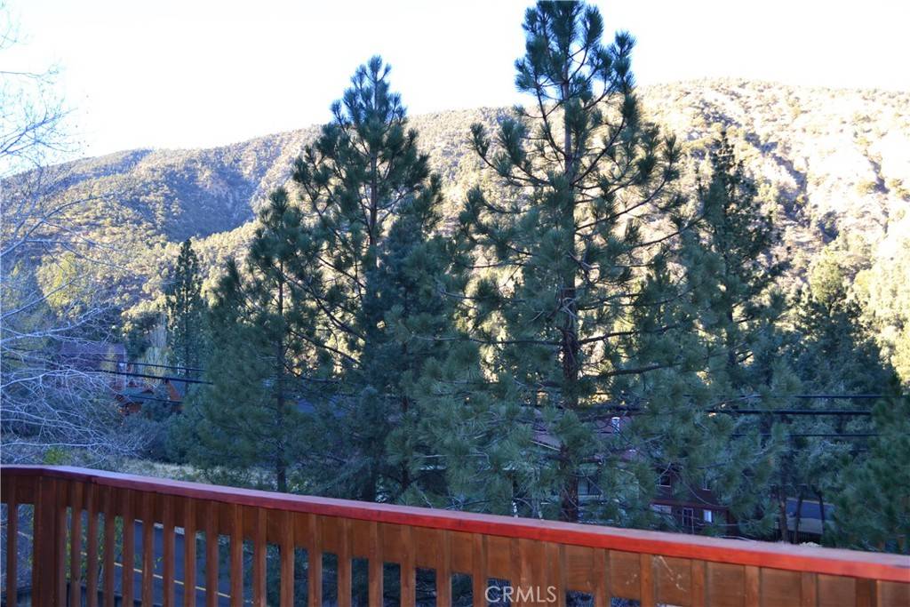 Pine Mountain Club, CA 93222,15320 Nesthorn WAY