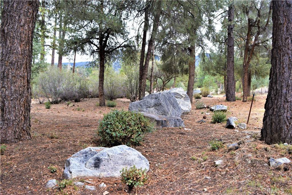 Pine Mountain Club, CA 93222,16021 Mil Potrero