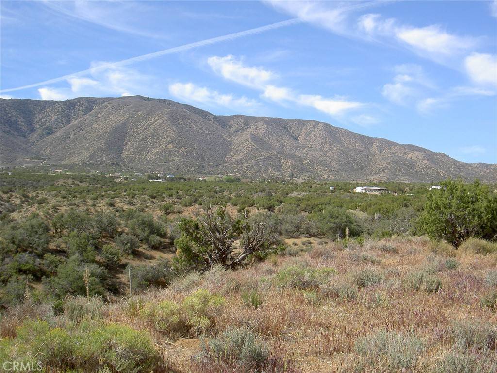 Juniper Hills, CA 93543,0 Vac/Vic Rainbow Acres Rd/106 S