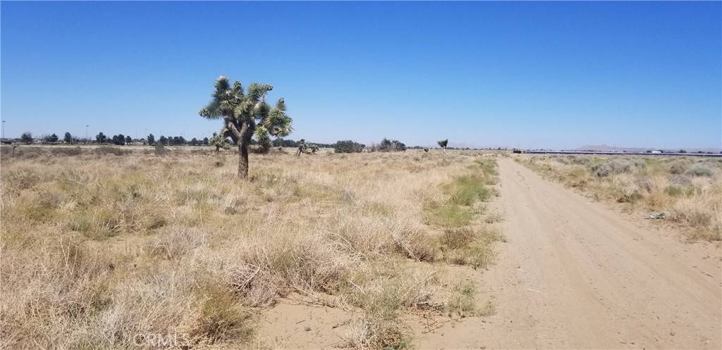 Palmdale, CA 93552,25 E Avenue L4