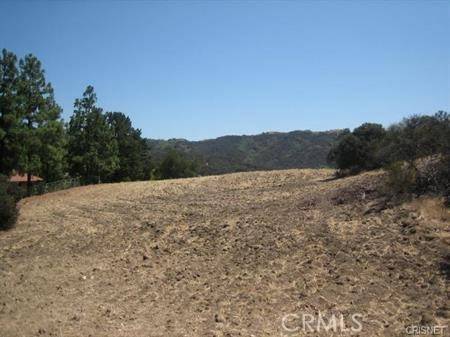 Calabasas, CA 91302,22800 Mulholland