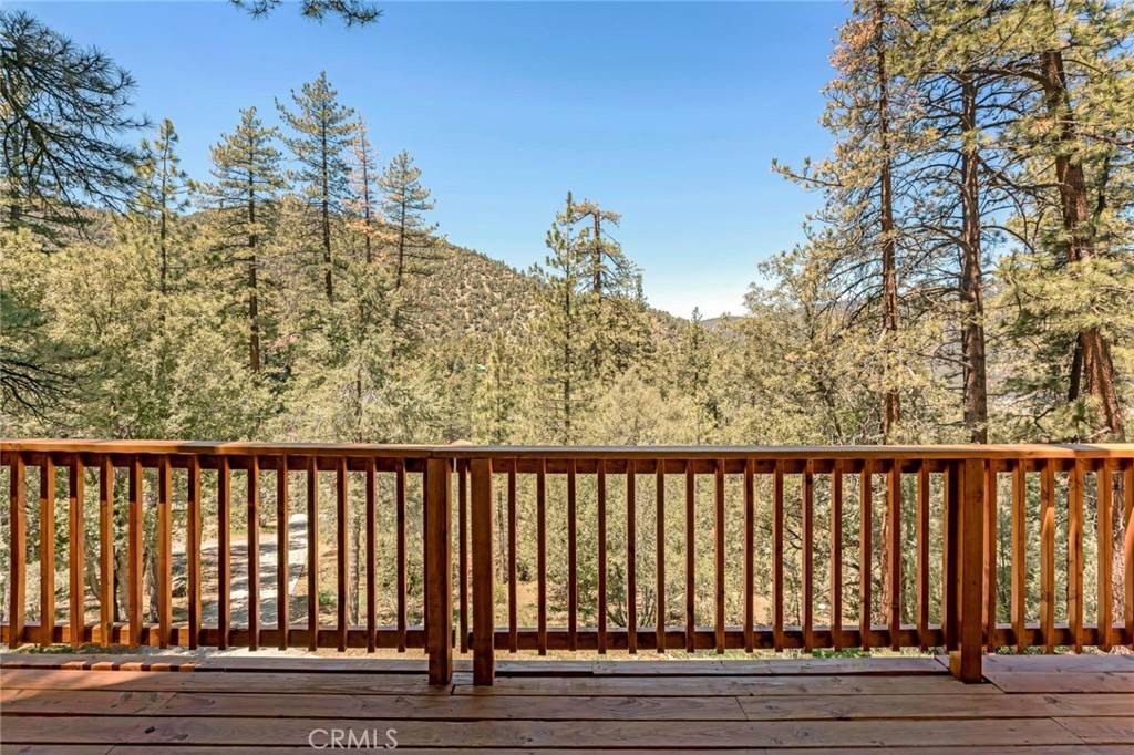 Pine Mountain Club, CA 93222,1424 Bernina DR