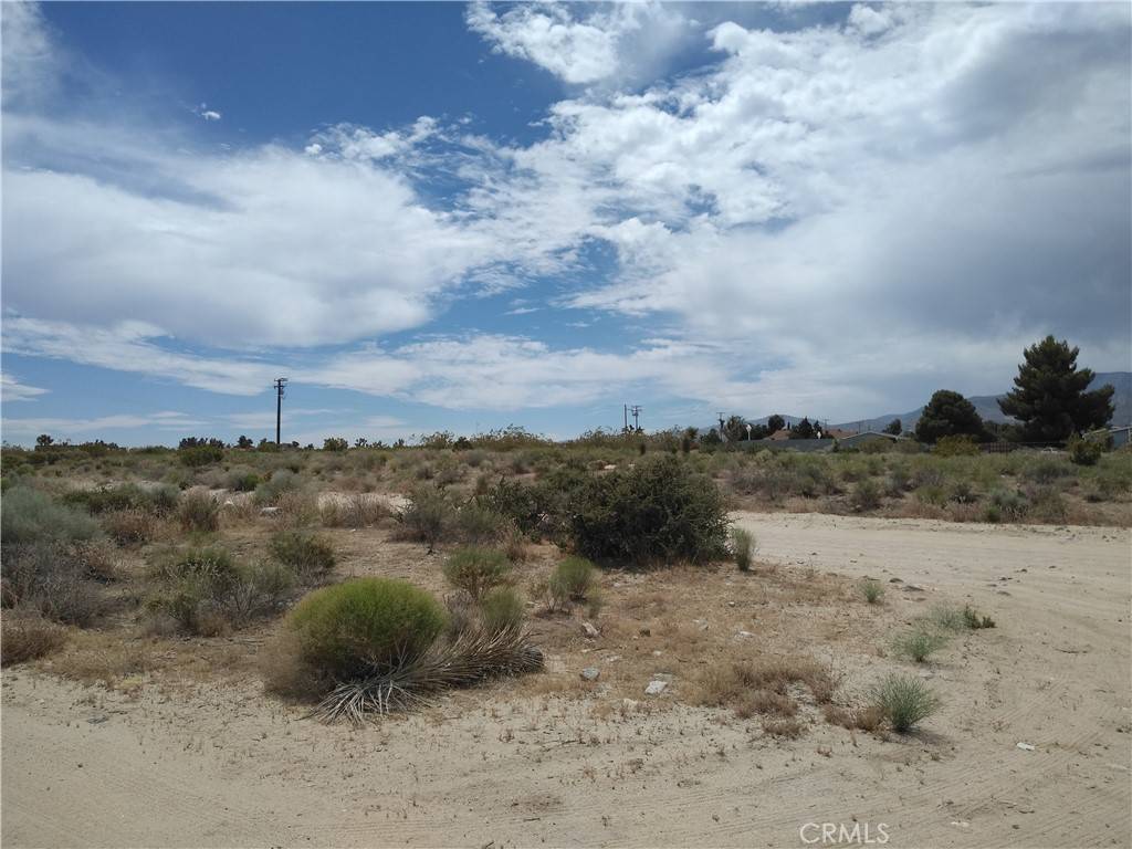 Pinon Hills, CA 92372,0 Bear Valley Road (Madrid)