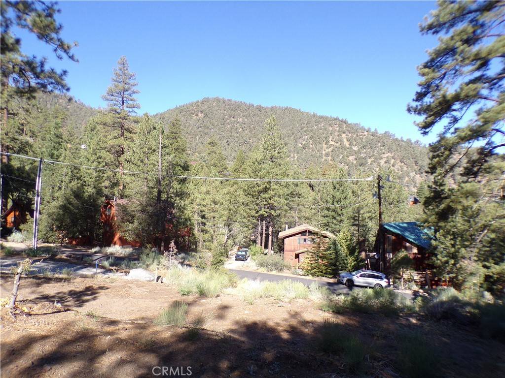 Pine Mountain Club, CA 93222,1428 Bernina DR