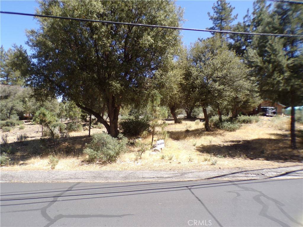 Pine Mountain Club, CA 93222,16220 Askin Drive