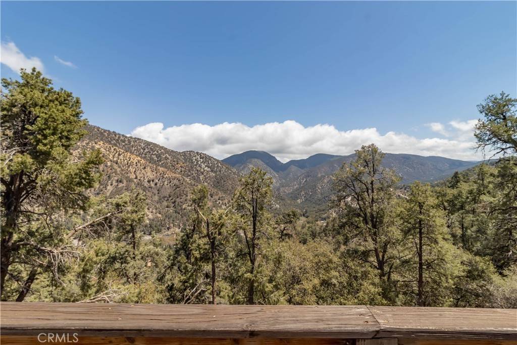 Pine Mountain Club, CA 93222,2320 Dom CT