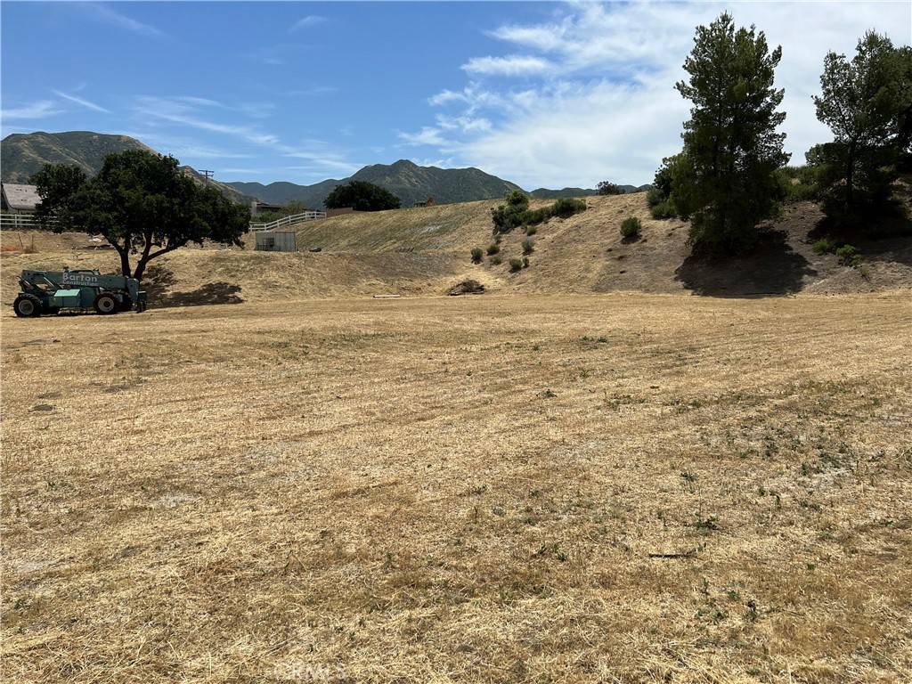 Canyon Country, CA 91387,15862 Mandalay RD