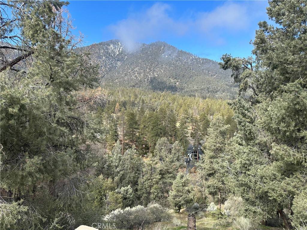 Pine Mountain Club, CA 93222,2101 Ironwood CT