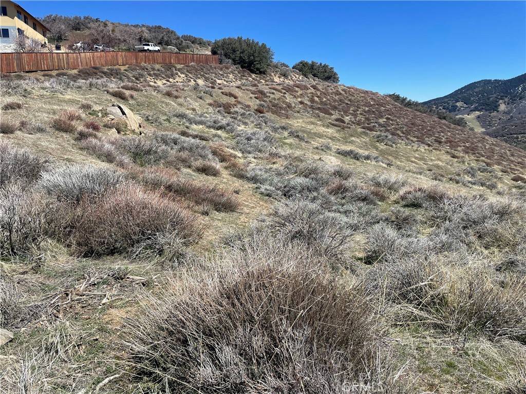 Tehachapi, CA 93561,17450 Matterhorn DR
