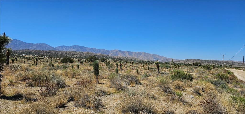 Llano, CA 93544,0 Ft Tejon/Vic Bob Gaps RD