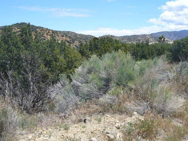 Juniper Hills, CA 93543,0 Vac/Devil S Punchbowl Rd/Vic 1