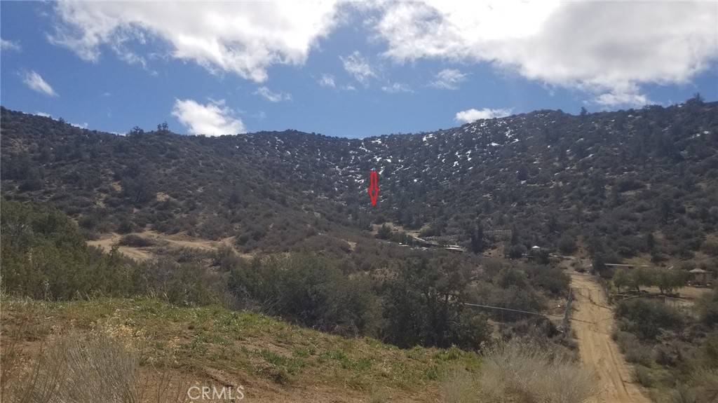 Acton, CA 91350,0 Tiger Mtn / Alluvium