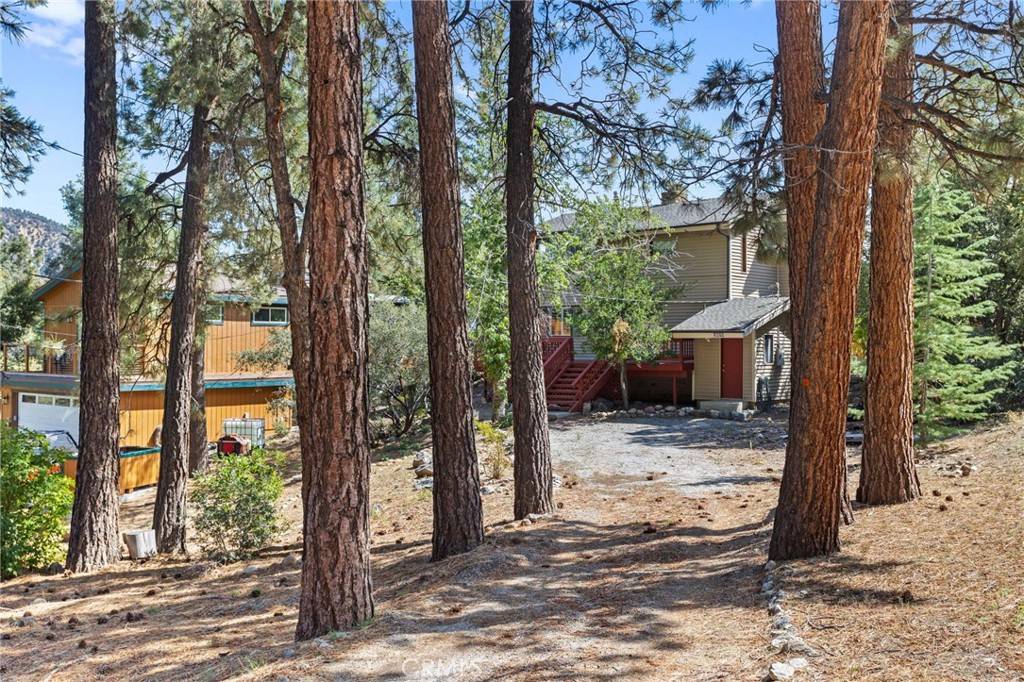 Pine Mountain Club, CA 93222,2028 Freeman DR