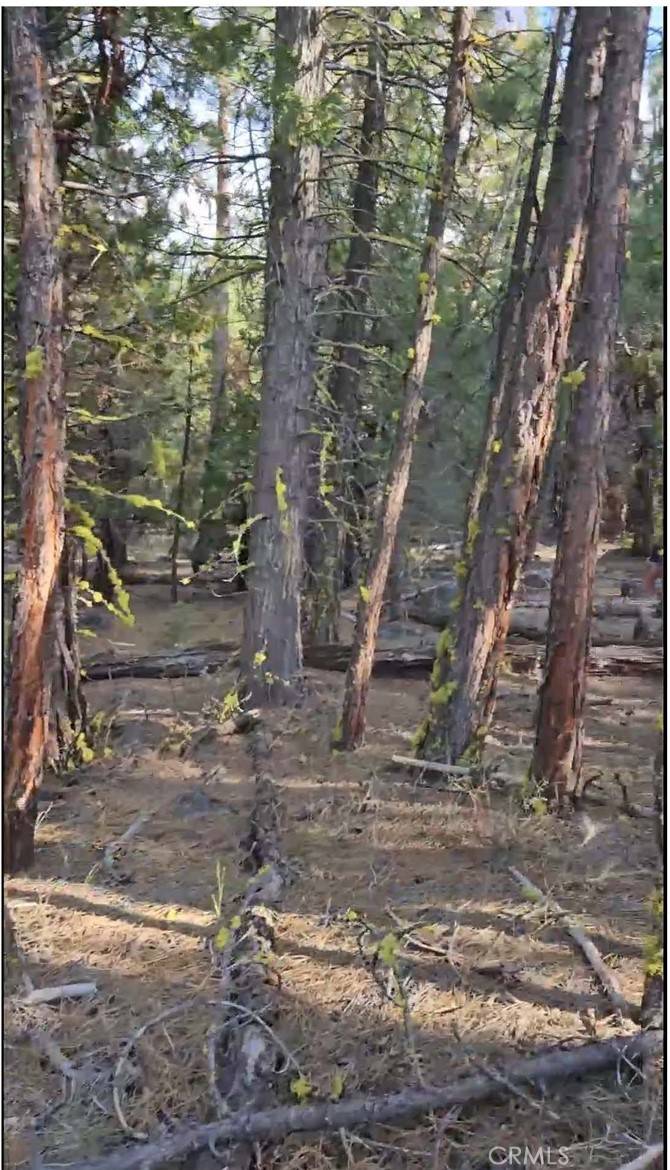 Alturas, CA 96101,7 Apache Rd