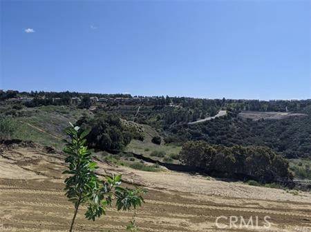 Chatsworth, CA 91311,17 COYA TRL