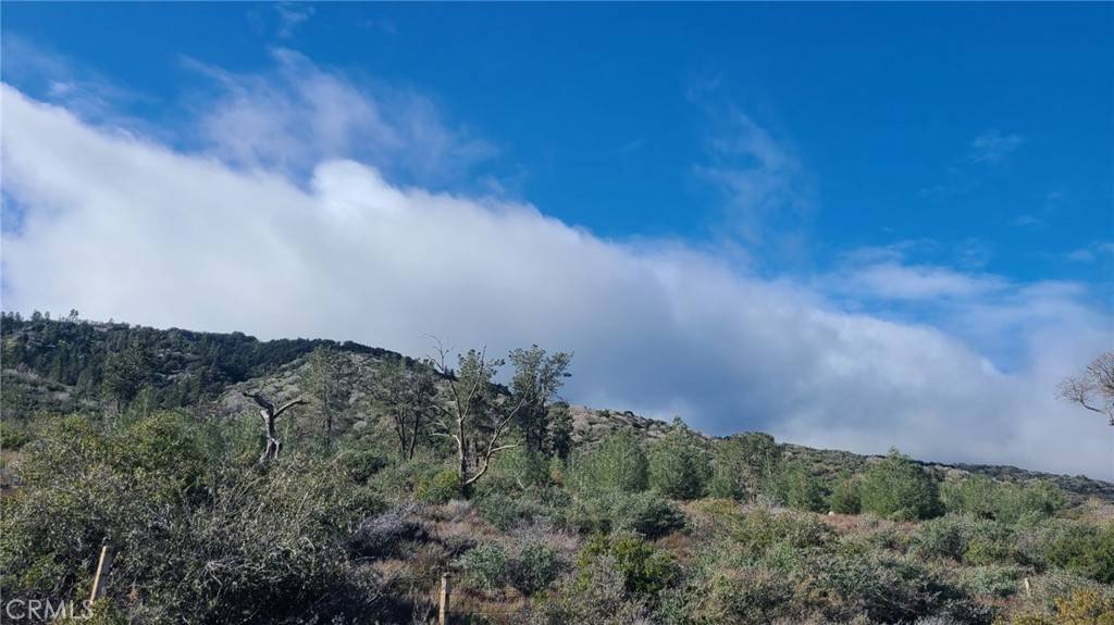 Gorman, CA 93532,0 Vac/Pine Canyon Pav /Vic 290 S