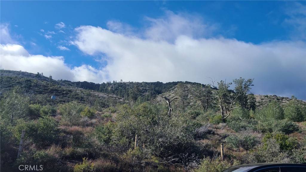 Gorman, CA 93532,0 Vac/Pine Canyon Pav /Vic 290 S