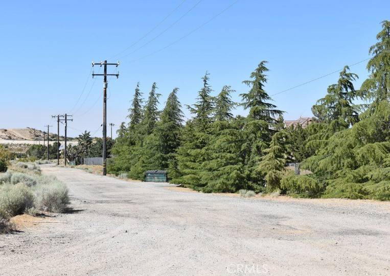 Pearblossom, CA 93553,32313 121st St East