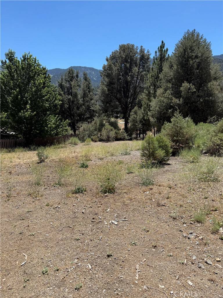 Pine Mountain Club, CA 93222,16604 Aleutian