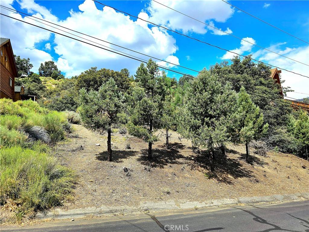 Pine Mountain Club, CA 93222,2005 Pioneer WAY