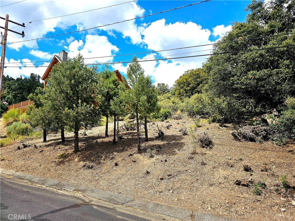 Pine Mountain Club, CA 93222,2005 Pioneer WAY