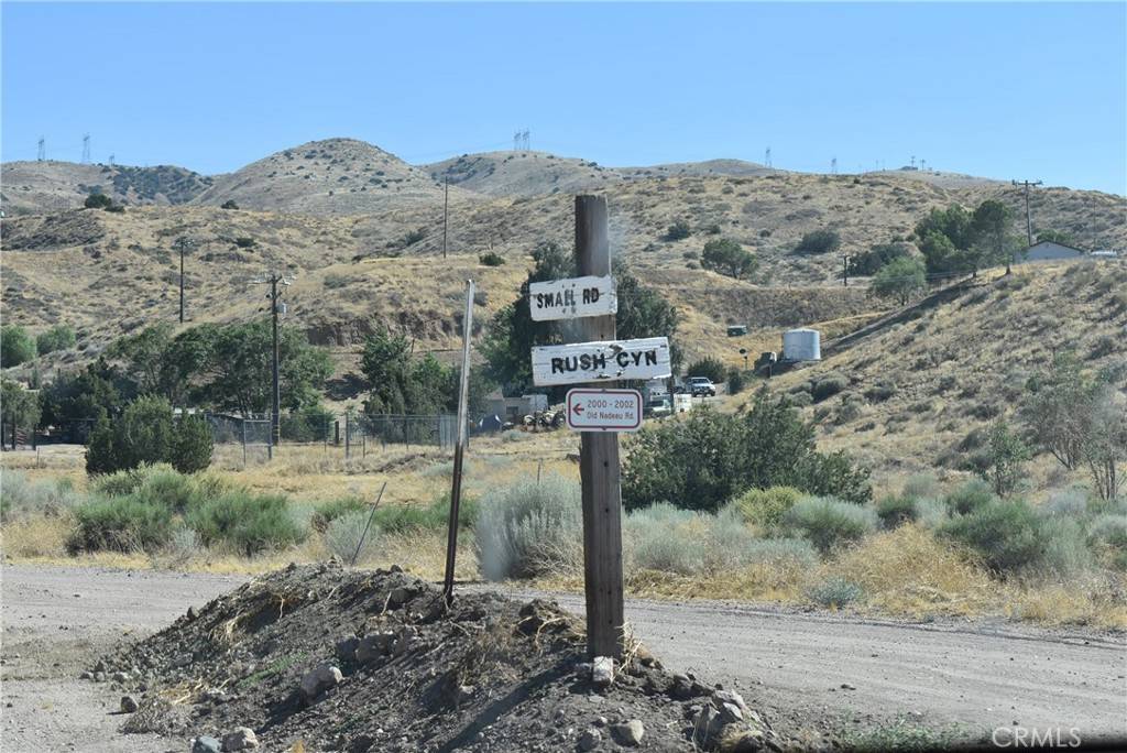 Palmdale, CA 93550,1 Carson View LN