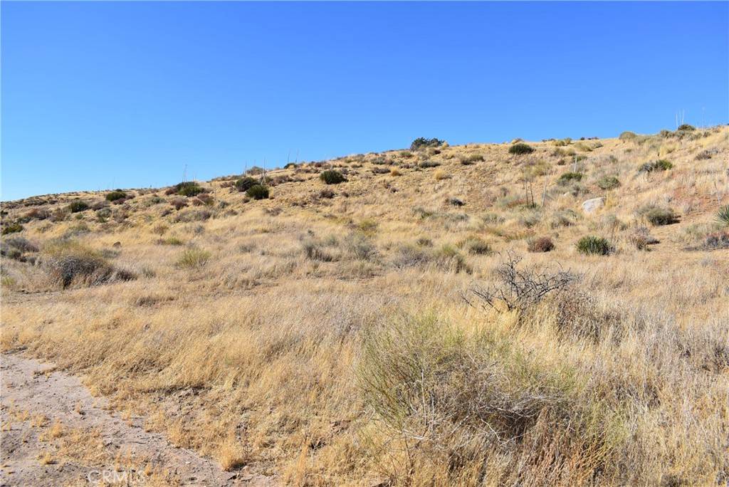 1 Carson View LN Palmdale, CA 93550