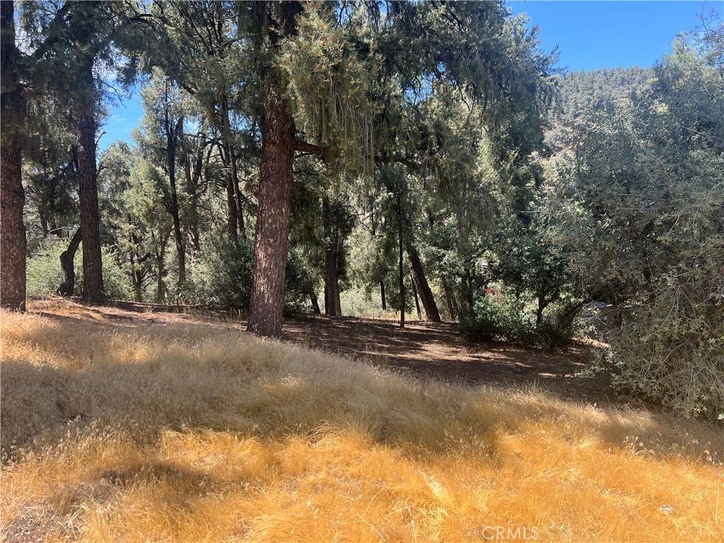 Pine Mountain Club, CA 93225,2721 Bryce CT