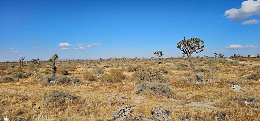 Palmdale, CA 93552,0 70th ST E