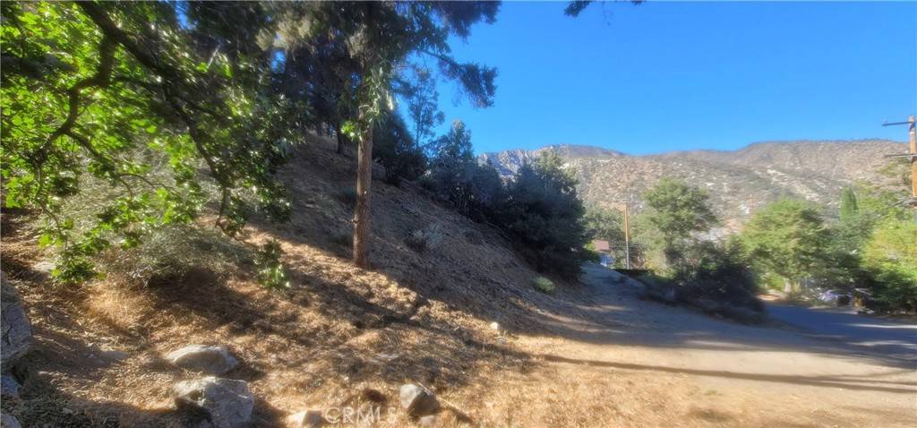 Frazier Park, CA 93225,0 Pine Canyon