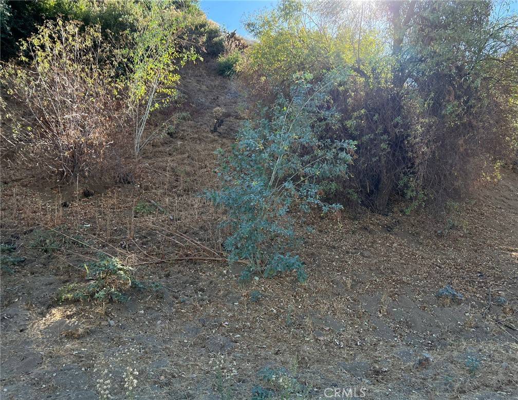 Sun Valley, CA 91352,9040 La Tuna Canyon