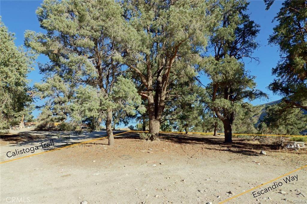 Frazier Park, CA 93225,0 Calistoga TRL