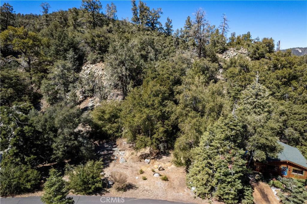 Pine Mountain Club, CA 93222,1301 Bernina DR