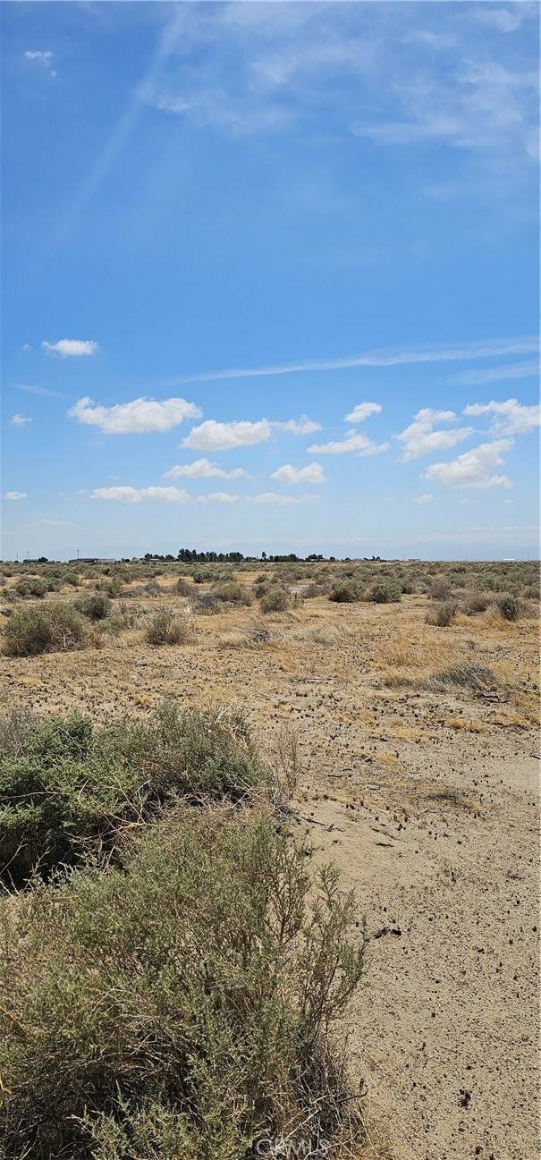Rosamond, CA 93560,0 George AVE