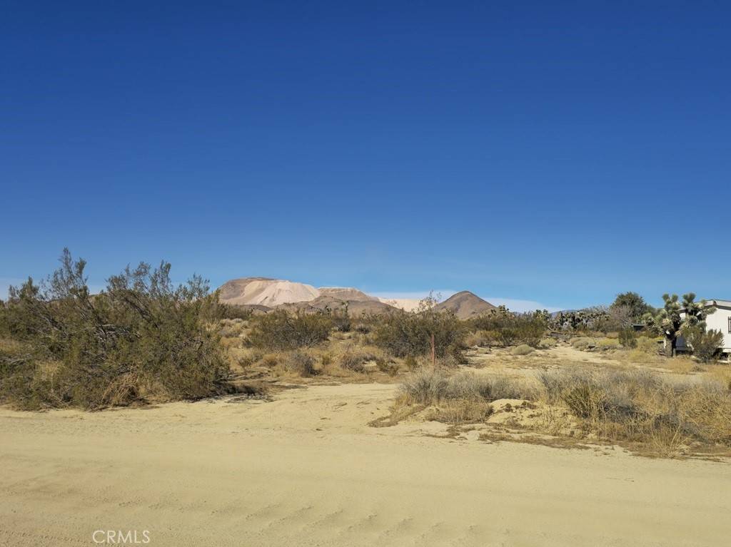 Rosamond, CA 93560,5 ROSAMOND