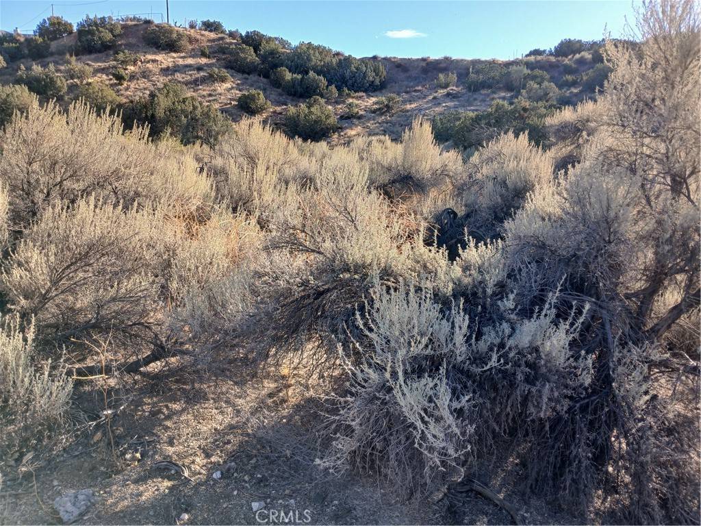 Acton, CA 93510,0 Acton AVE W