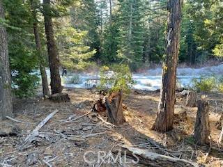 Nevada City, CA 95959,11041 Last Chance Mine RD