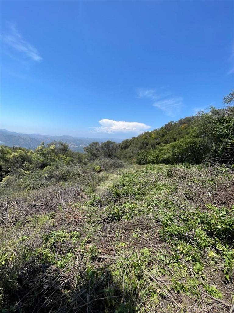 Malibu, CA 90265,24575 Piuma RD