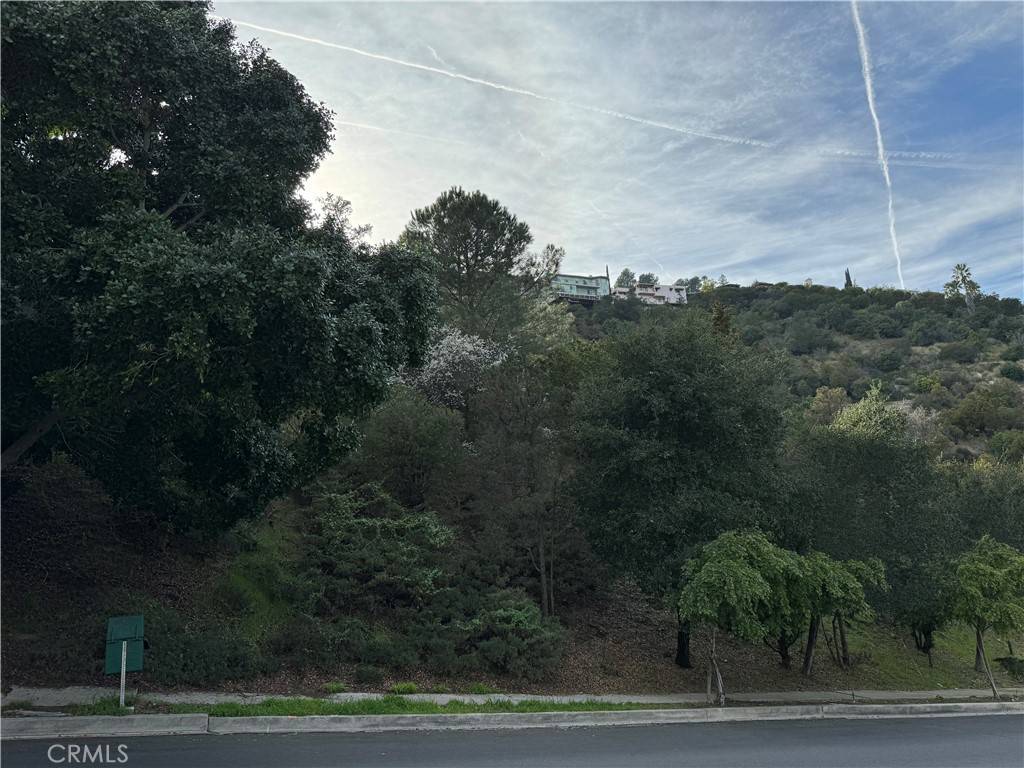 Los Angeles, CA 90046,2485 Jupiter