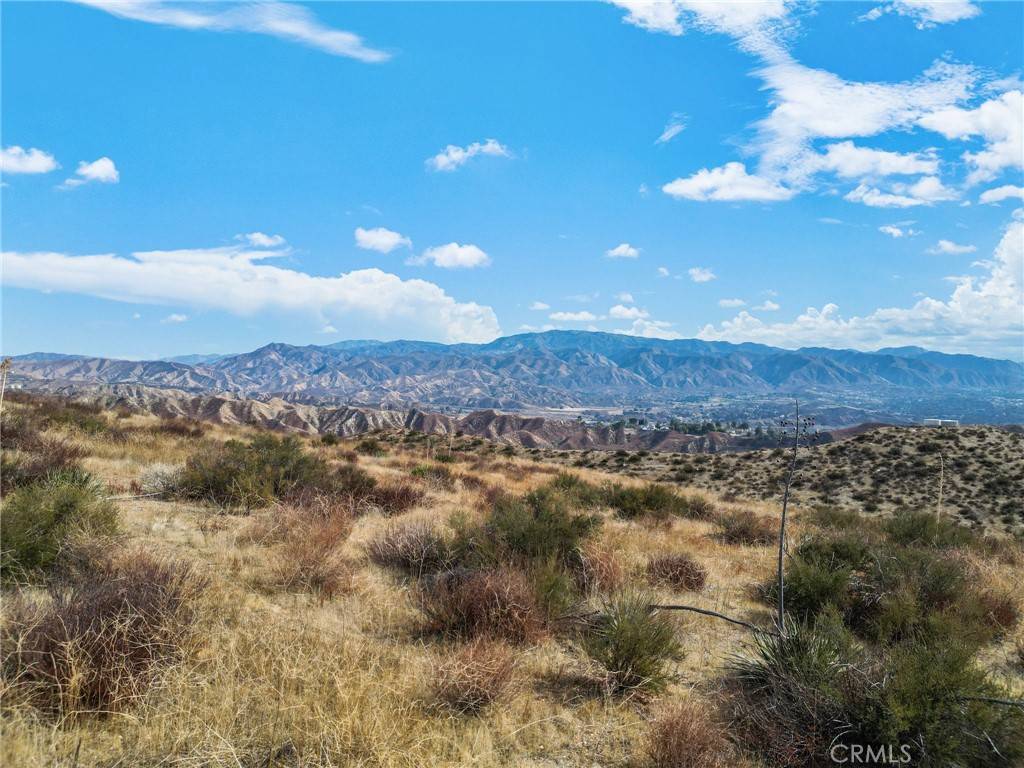 Canyon Country, CA 91351,0 Sierra Highway/Cirrus DR