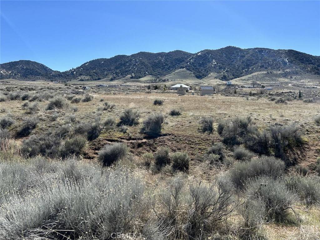 Tehachapi, CA 93561,0 Apache