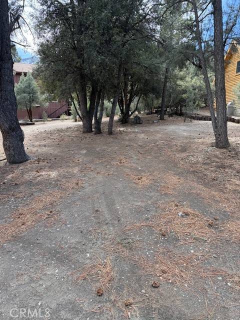 Pine Mountain Club, CA 93222,15916 Wildwood